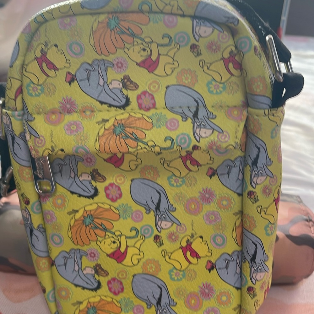 Loungefly Winnie the Pooh purse, two zipper compartment, Crossbody